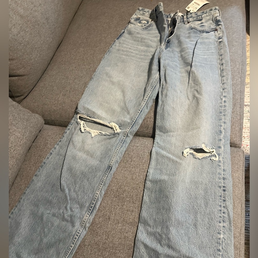 Zara high waisted wide leg jean.